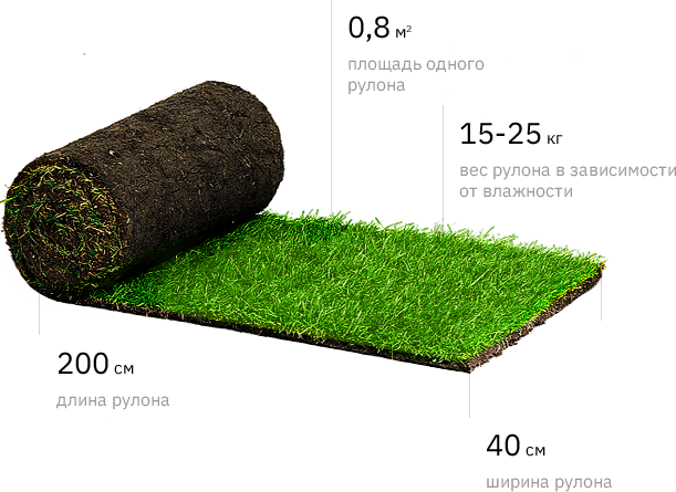Купить газонную траву и готовый газон в рулонах в Екатеринбурге | Park .